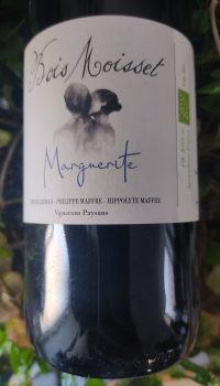 IMG_20240428_191818-min vin nature